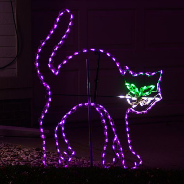 LED Black Cat