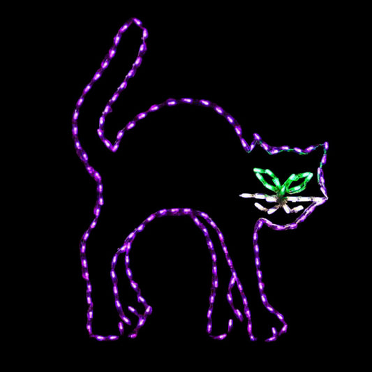 LED Black Cat
