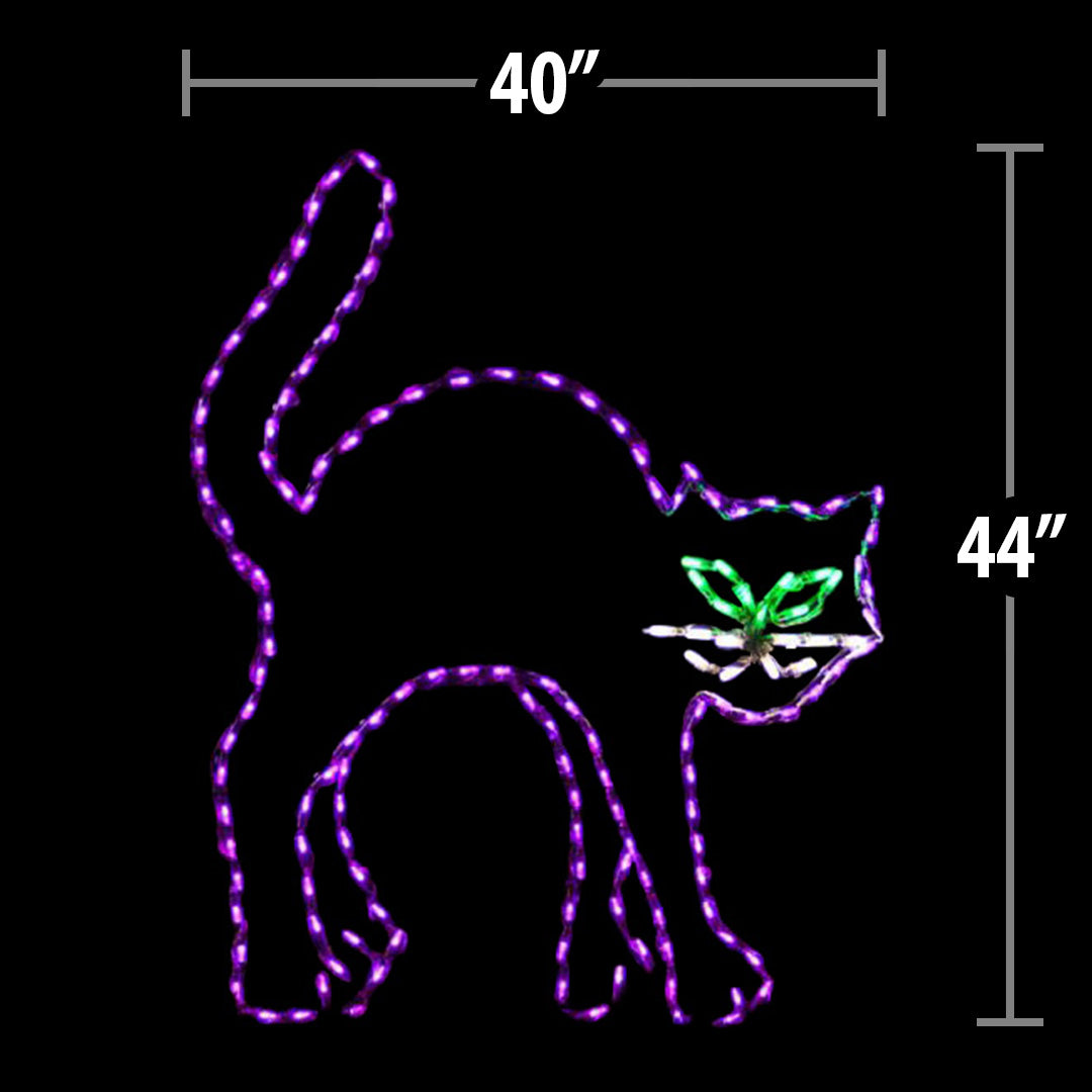 LED Black Cat