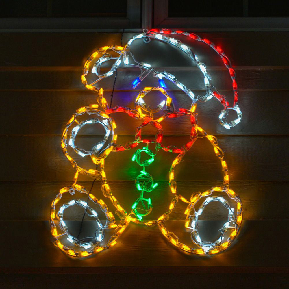 LED Teddy Bear