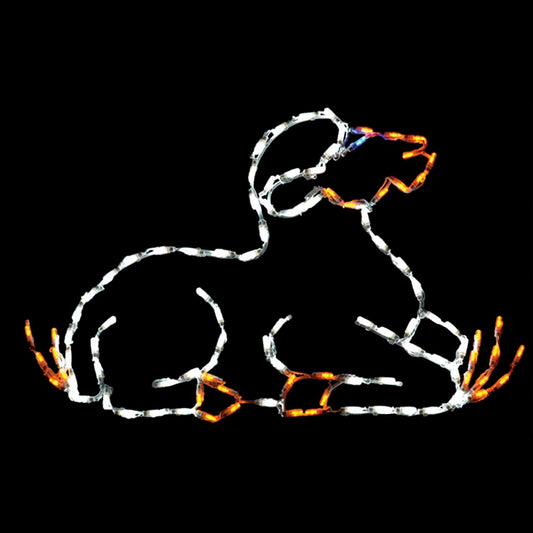 LED Nativity Lamb