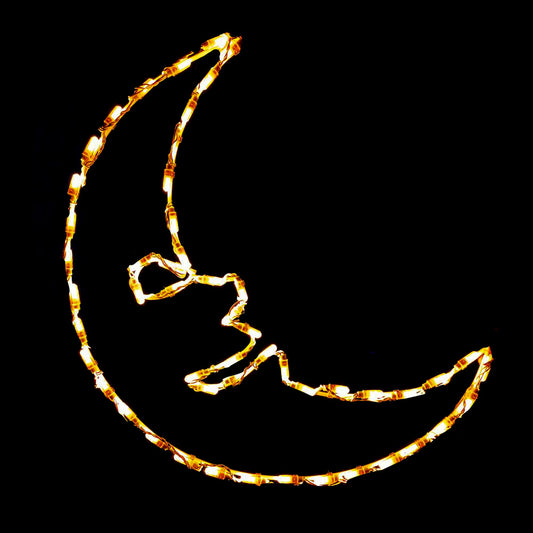 LED Moon