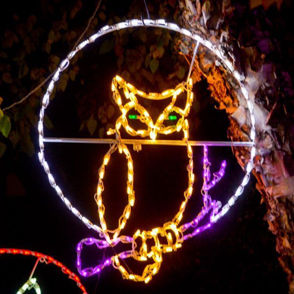 LED Owl