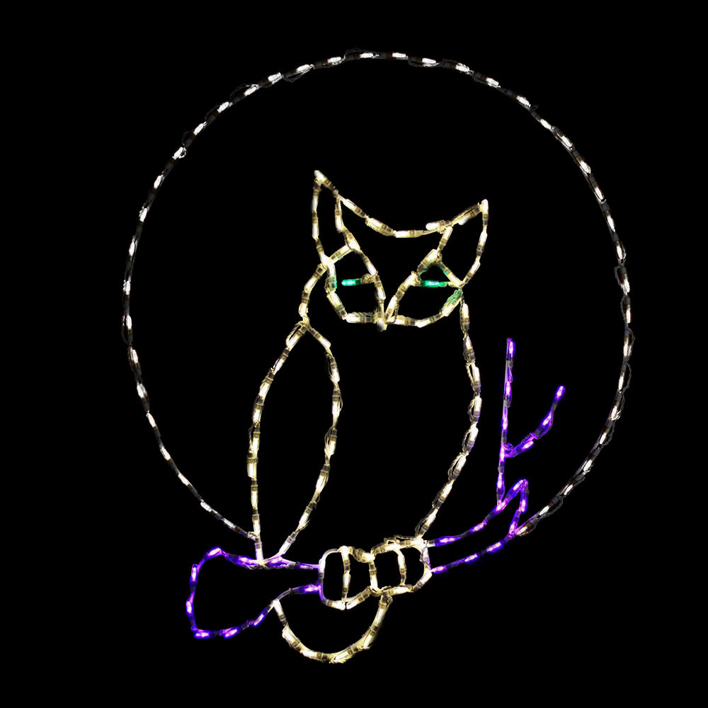 LED Owl