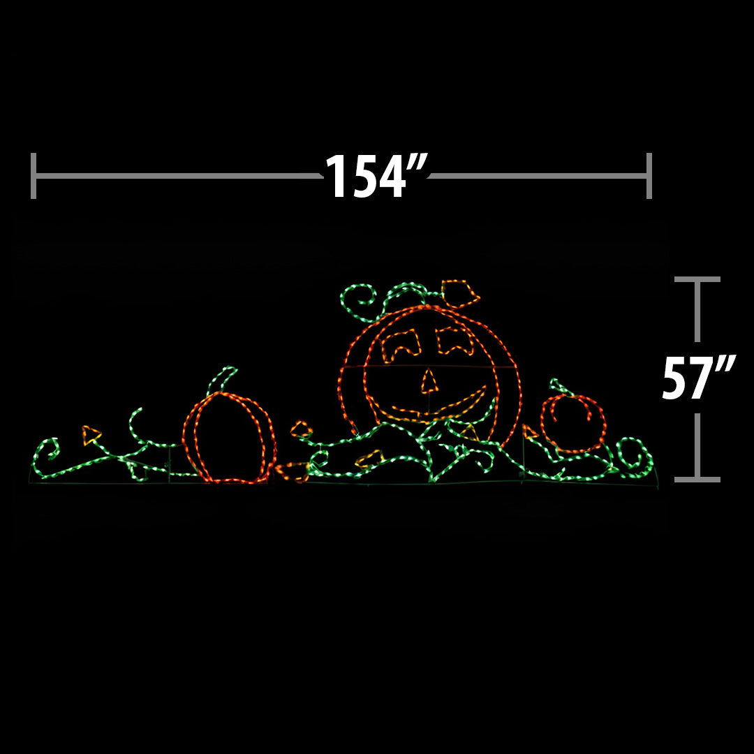 LED Pumpkin Patch