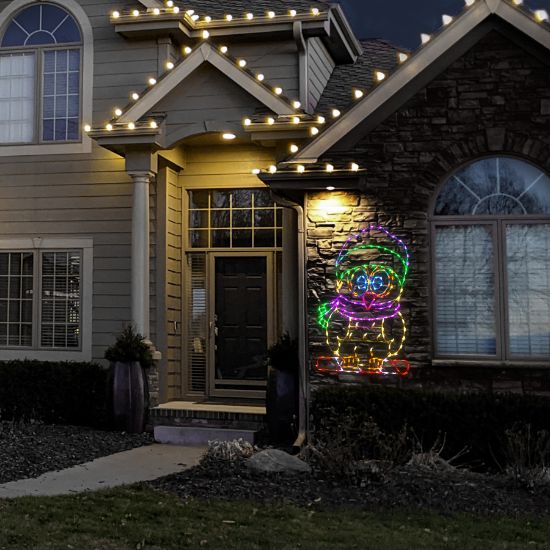 LED Winter Owl