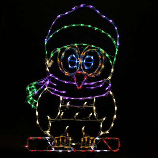 LED Winter Owl