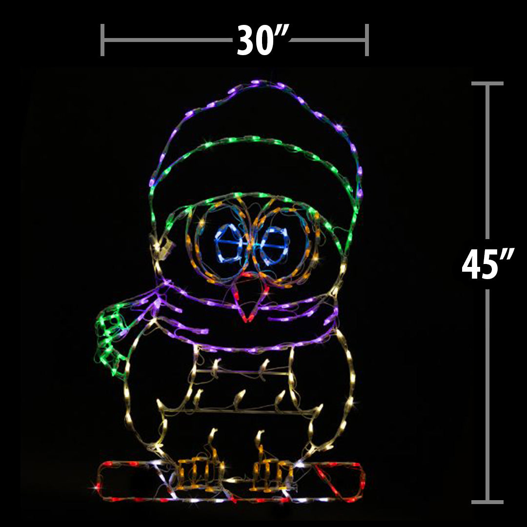 LED Winter Owl