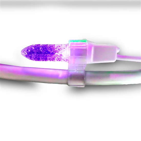 LED Bat Witch