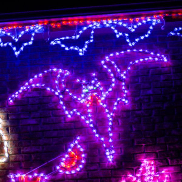 LED Bat | Wireframe Halloween Light Display