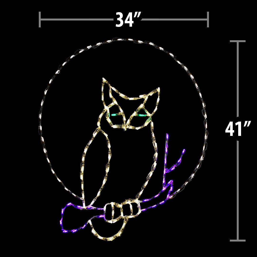 LED Owl