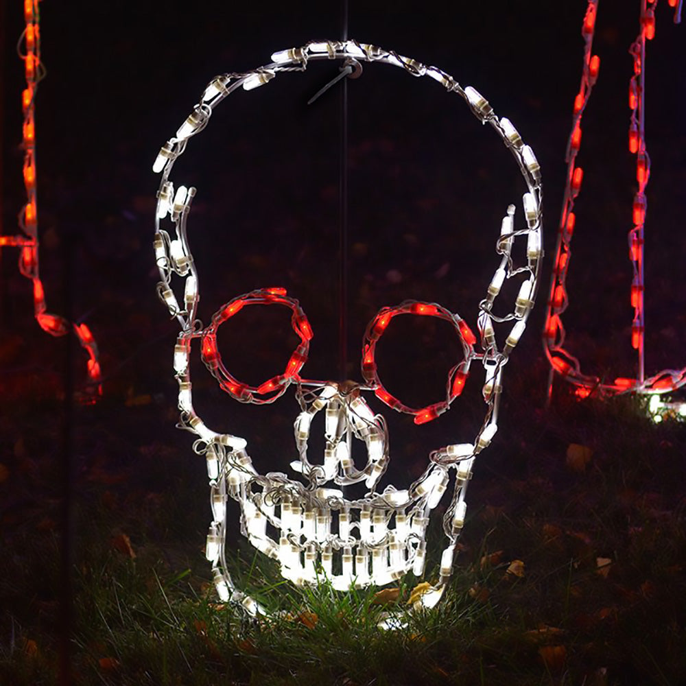 LED Skull