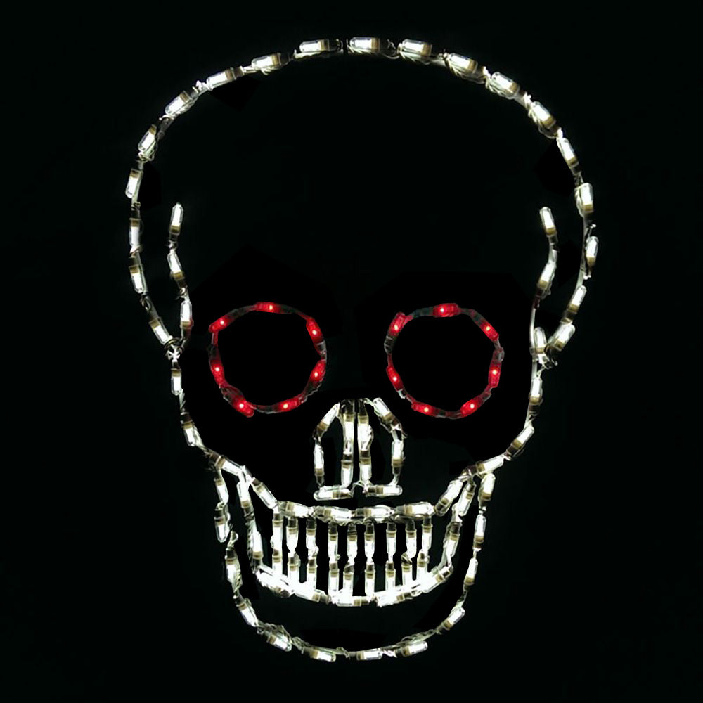 LED Skull