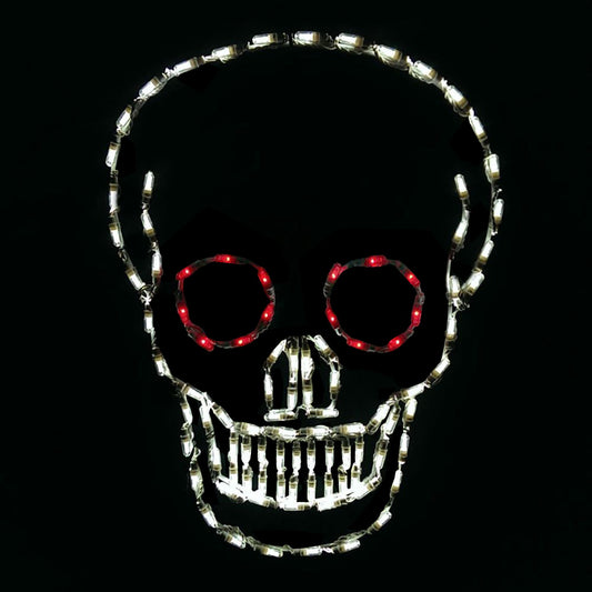 LED Skull