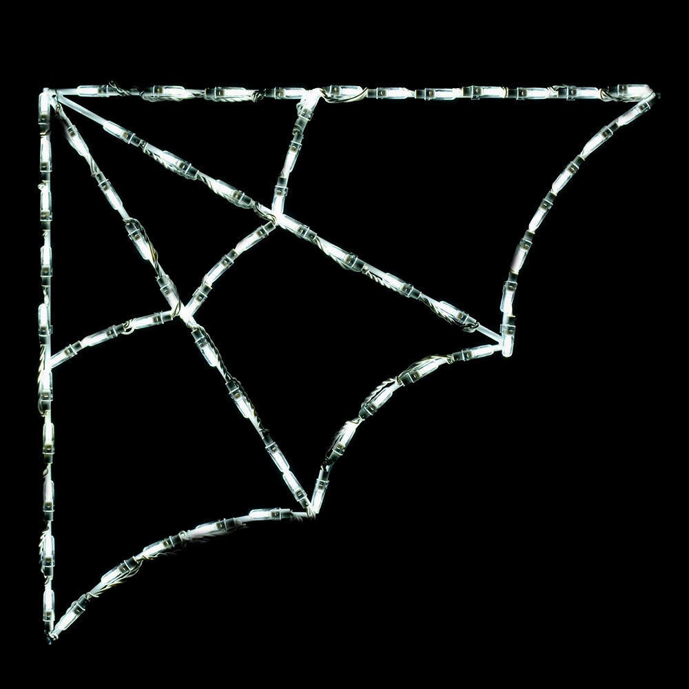 LED Spider Web Corner