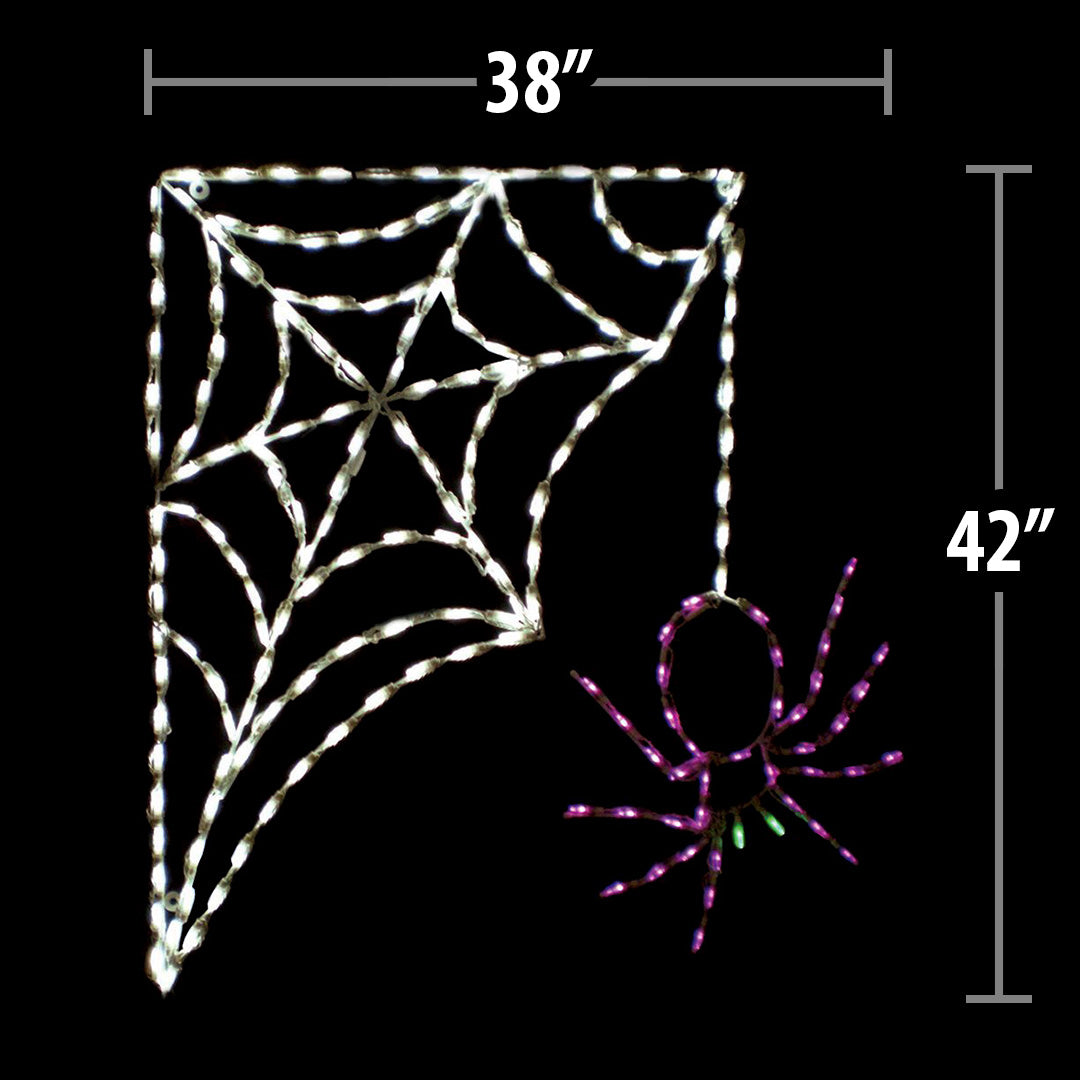 LED Spider with Corner Web